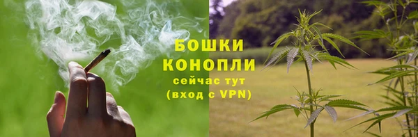 МДПВ Михайлов