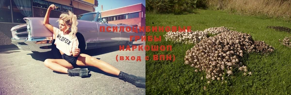 МДПВ Михайлов