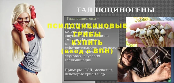 МДПВ Михайлов